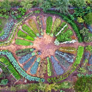 Permaculture mercredi 18 mars 2026.jpg